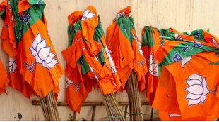 BJP, BJP MP, Rajasthan Assembly Elections