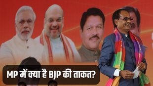 BJP, Madhya Pradesh, Assembly Elections