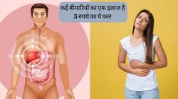 लिवर से लेकर कब्ज तक का इलाज है 5 रुपये का ये फल, आज से ही शुरू कर दें खाना, बीमारियां होंगी दूर