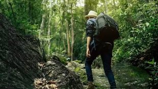Eco friendly| tourism