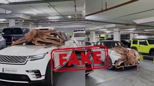 Fact Check