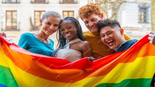 Gay Lisbian| marriage| supreme court