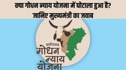 गोधन न्याय योजना: छत्तीसगढ़ सरकार ने खरीदा 265 करोड़ रुपए का गोबर, मुख्यमंत्री भूपेश बघेल ने 65 हजार गोबर विक्रेताओं को ट्रांसफर किए 5.16 करोड़ रुपये