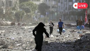 Israel News | Israel-Hamas War Live | Palestine News