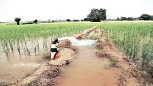 Irrigation| water crisis