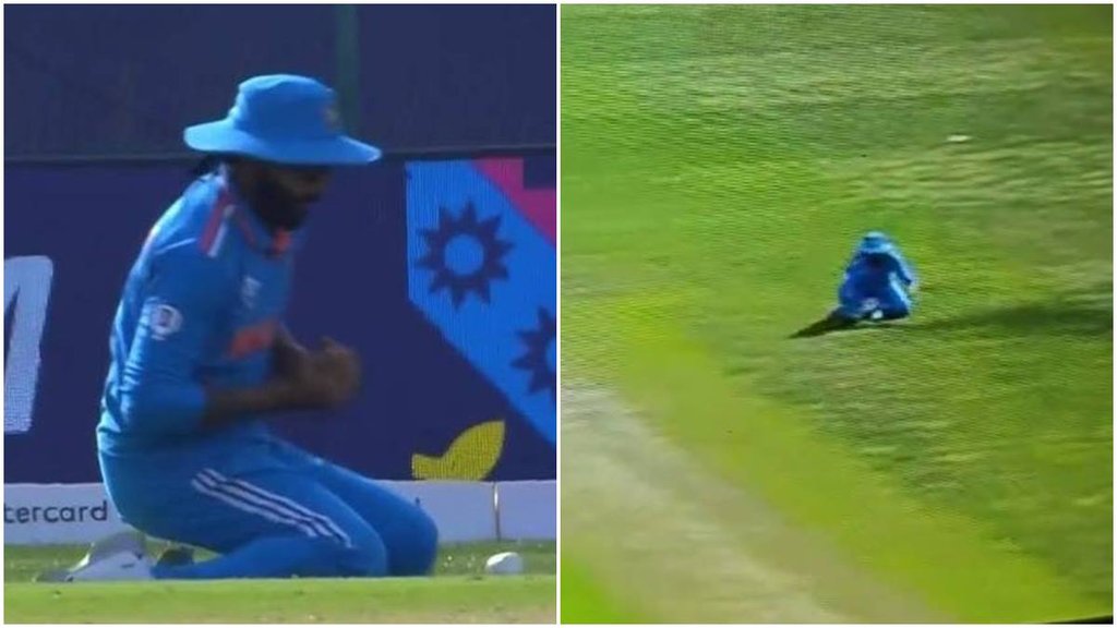 World Cup 2023 । IND vs NZ । Ravindra Jadeja ।