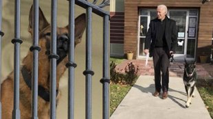 Joe Biden II White House II Dog