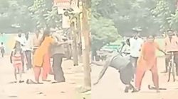बीच सड़क पर पटका, कानपुर में ससुर और बहू के बीच ‘WWE’ फाइट; वीडियो वायरल