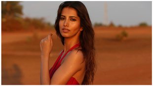 Manasvi Mamgai, Bigg Boss 17, Salman Khan