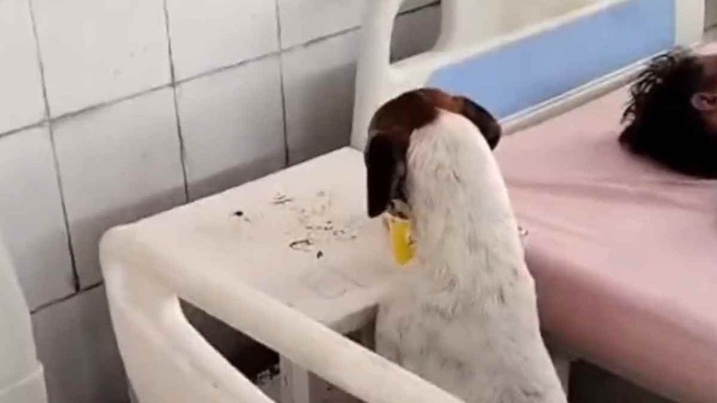Moradabad Viral Video II trending News II hospital