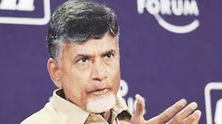 फाइबरनेट घोटाले में 18 तक चंद्रबाबू नायडू की गिरफ्तारी नहीं, आंध्र प्रदेश सरकार का सुप्रीम कोर्ट को आश्वासन