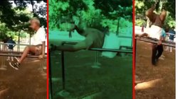 पार्क में बुजुर्ग की ‘उछल कूद’ देख गदगद हुए रामायण के ‘लक्ष्मण’, वीडियो शेयर कर की तारीफ