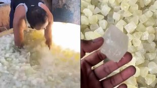 Petha II Viral Video II trending News