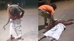 Viral Video: फोटो खिंचाने के लिए शराब के नशे में उठा लाया अजगर, बड़ी मुश्किल से बचाई गई जान