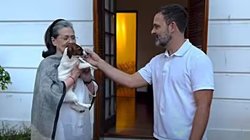 Rahul Gandhi Puppy Noorie: ‘नूरी’ पर बढ़ सकती हैं राहुल गांधी की मुश्किलें, पपी के नाम को लेकर कोर्ट पहुंचे AIMIM नेता