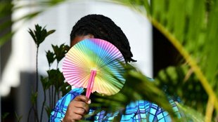 Same sex marriage, lgbt, rss