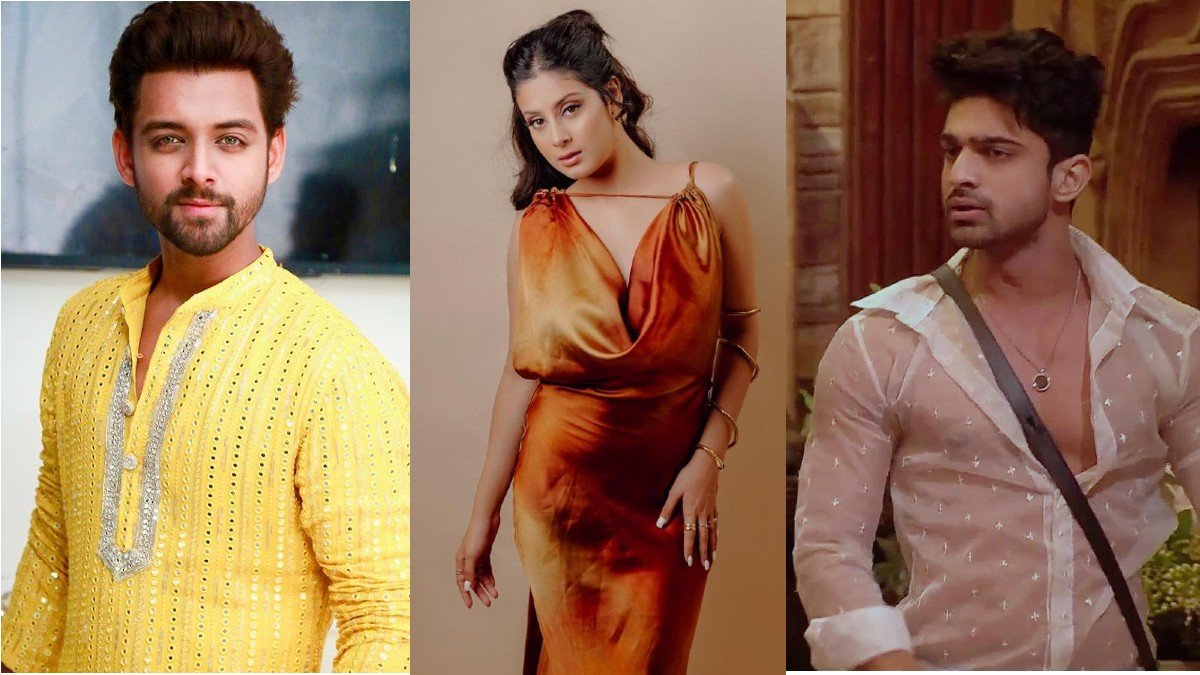 Samarth Jurel Shocking Revelation On Abhishek-Isha Relationship