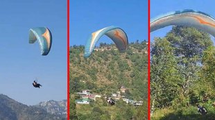 Shimla II Viral Video II trending News