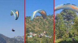 शिमला फ्लाइंग फेस्टिवल में क्रैश होकर गिरा पैराग्लाइडर, बाल-बाल बची जान; वायरल हो रहा वीडियो