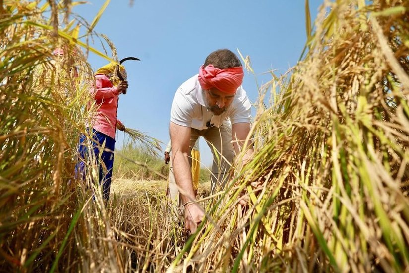 Chhattisgarh Election Rahul Gandhi