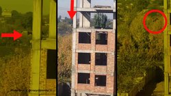 पांचवी मंजिल से कुत्ते ने लगा दी छलांग, उठा और फिर चल दिया; वीडियो हो रहा वायरल