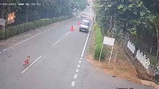 Viral Video II trending News II News (3)