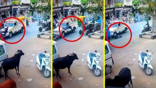 Vral Video Rajasthan
