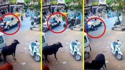 पांच सेकेंड में दो बार हुआ मौत से सामना, फिर भी बच गई जान; जानिए क्या है पूरा मामला