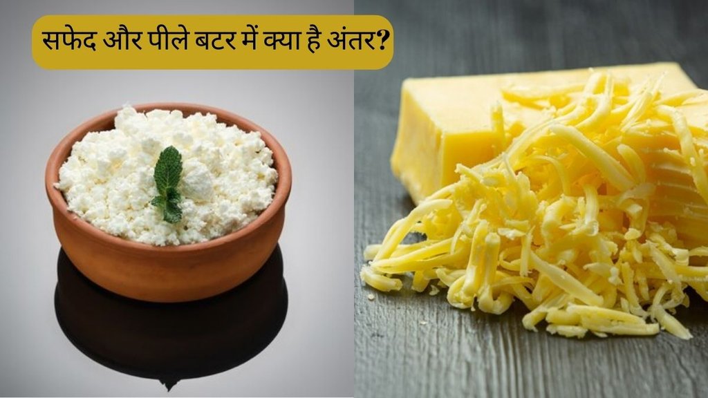 White Butter Vs Yellow Butter । Difference between Yellow and White Butter । Types of butter