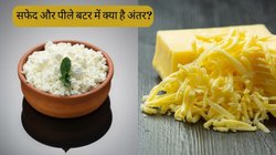White Butter vs Yellow Butter: सफेद और पीले बटर में क्या है अंतर? जानें फिट रहने के लिए किसका करें सेवन