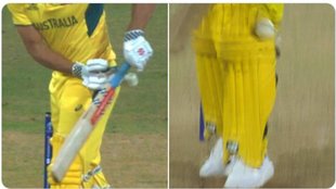 World Cup | SA vs AUS | Marcus Stoinis | Steve Smith