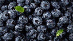 blueberries nutrition levels, blueberries health benefits, blueberries diabetes,ब्लू बेरी के सेहत के लिए फायदे,ब्लू बेरी का सेवन क्या डायबिटीज के मरीज कर सकते हैं,