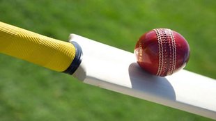 cricket (1)