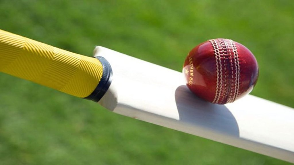 cricket (1)