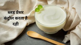 ,make curd at home,how to set curd,health benefits of having curd,health benefits of dahi,difference between curd and yoghurt,dahi calcium,dahi,curd probioti,curd health benefits, दही कैसे ब्लड प्रेशर कंट्रोल करती है,