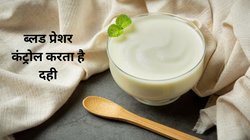 क्या दही का सेवन HIGH BP को कंट्रोल कर सकता है? प्रोबायोटिक कर्ड सेहत पर कैसा करता है असर, रिसर्च से जानिए