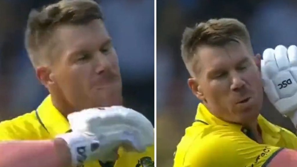david warner (4)