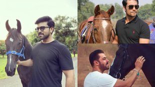 Ram Charan shared picture with his new horse, these actors also like horse riding, someone has owned stable