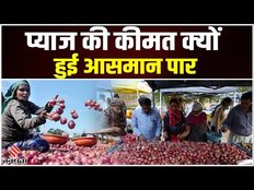 Onion Price Hike: जानिए क्यों अचानक से बढ़ रहे हैं प्याज के दाम? | Onion Price