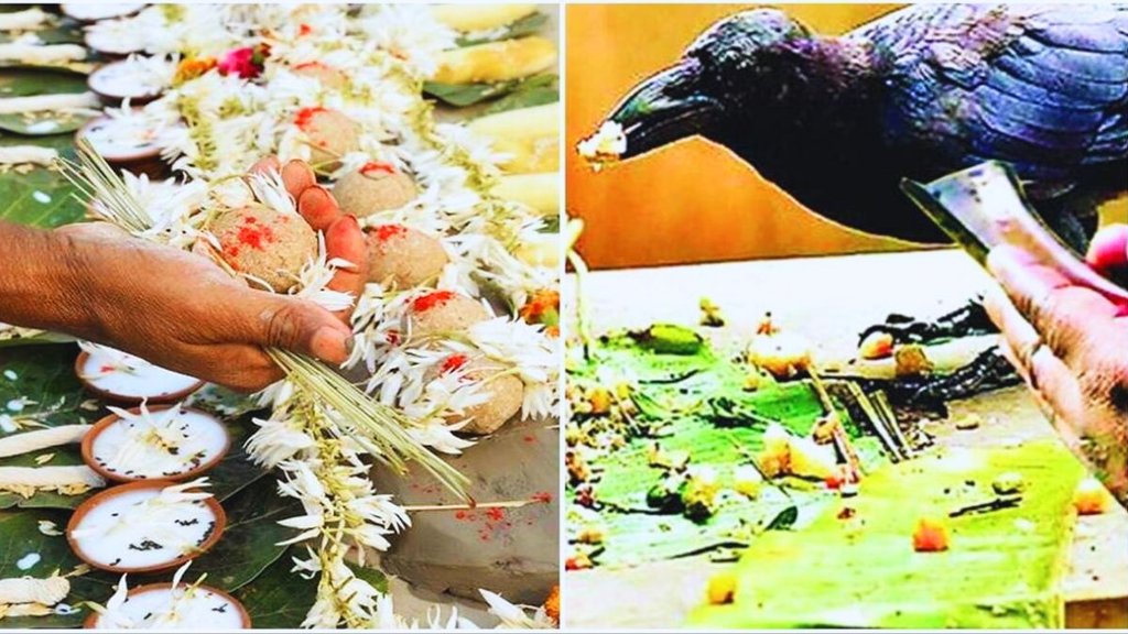 Pitru Paksha 2023, Importance Of Panchabali Bhog Pitru Paksha 2023, Importance Of Panchabali Bhog