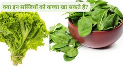 क्या केल और पालक को कच्चा खाना वाकई सेहत के लिए खतरा है? पोषक तत्वों से भरपूर इन 2 सब्जियों के बारे में एक्सपर्ट से जानते हैं सच्चाई