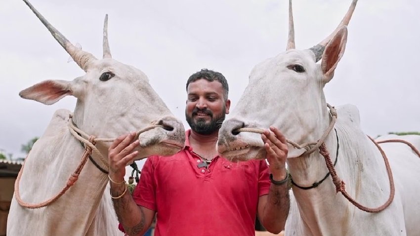 Contestant Varthur santosh arrested by forest department