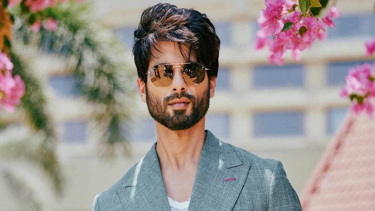 shahid kapoor, bollywood
