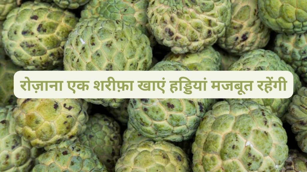 benefits of shareefa, health benefits of custard apple, health shots hindi, शरीफे के फायदे,
