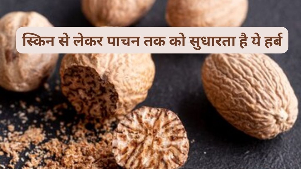 Nutmeg tea benefits, Adding nutmeg to milk for sleep, Versatile uses of Jaiphal, Nutmeg nutrition and health, स्किन की सेहत में सुधार करती है जायफल की चाय,
