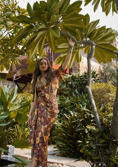 Sonakshi Sinha movies