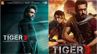 Tiger 3, Emraan Hashmi, Salman Khan