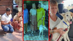 varanasi Dog going to netherlands