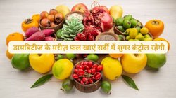Diabetes Friendly Fruits: डायबिटीज मरीज सर्दी में इन फाइबर से भरपूर 4 फलों को खाएं,पूरा दिन blood sugar स्पाइक का नहीं रहेगा खतरा