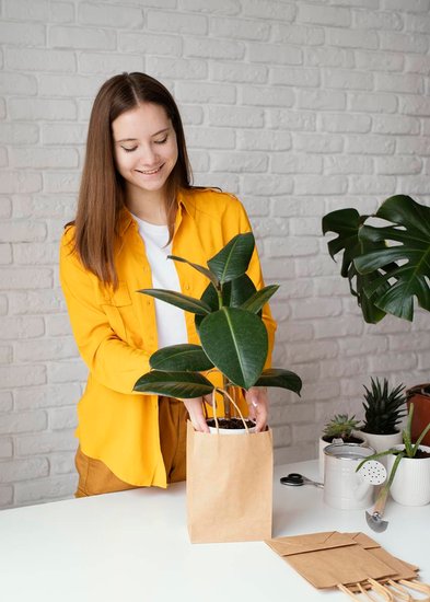 plants